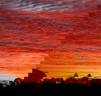 Private Full-Day Wine Tour in Hunter Valley - Sunshine Coast Tourism