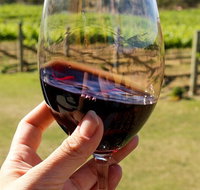 Wine Tasting in Canberra Region - Sunshine Coast Tourism