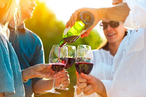 All-inclusive Morning Wine Tour In Orange - Holiday Sunshine Coast 4