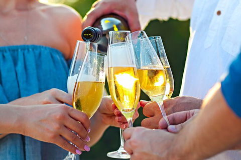 All-inclusive Morning Wine Tour In Orange - Holiday Sunshine Coast 9