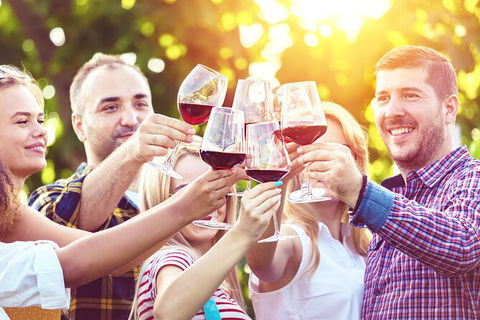 All-inclusive Morning Wine Tour In Orange - Holiday Sunshine Coast 2