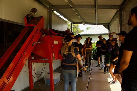 Pecan Farm Tour And Workshop, Byron Bay Hinterland - Holiday Sunshine Coast 4