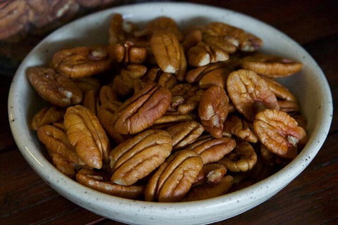 Pecan Farm Tour And Workshop, Byron Bay Hinterland - Holiday Sunshine Coast 5