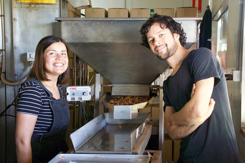 Pecan Farm Tour And Workshop, Byron Bay Hinterland - Holiday Sunshine Coast 7