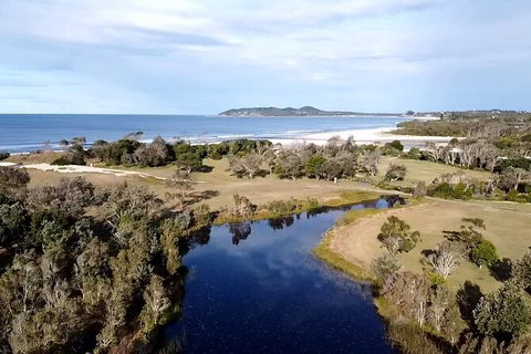 Pecan Farm Tour And Workshop, Byron Bay Hinterland - Holiday Sunshine Coast 3