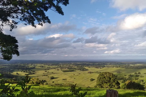 Pecan Farm Tour And Workshop, Byron Bay Hinterland - Holiday Sunshine Coast 1
