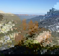 Blue Mountains Private Bus Tour From Sydney plus Featherdale Aussie Animal Park - Holiday Sunshine Coast