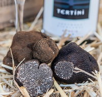 Truffle Hunts with Lunch - Southern Highlands - Sunshine Coast Tourism