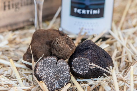 Truffle Hunts With Lunch - Southern Highlands - Sunshine Coast Tourism 0
