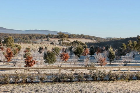 Truffle Hunts With Lunch - Southern Highlands - Sunshine Coast Tourism 1