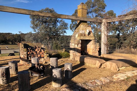 Truffle Hunts With Lunch - Southern Highlands - Sunshine Coast Tourism 4
