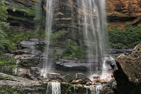 Private 10-hour Tour To Blue Mountains From Sydney - Hotel Pick Up & Drop Off - Sunshine Coast Tourism 3