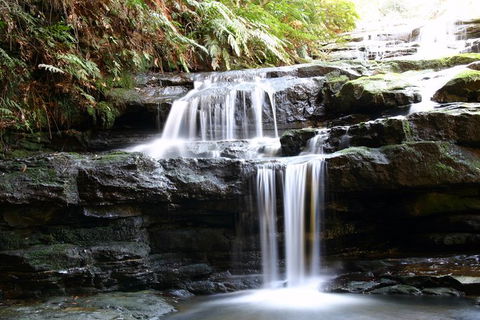Private 10-hour Tour To Blue Mountains From Sydney - Hotel Pick Up & Drop Off - Sunshine Coast Tourism 6