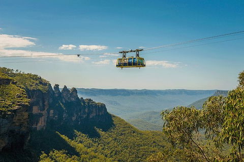 Blue Mountains Highlights, Wildlife Park And Scenic World Full Day Private Tour - Sunshine Coast Tourism 0