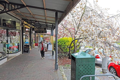 Blue Mountains Highlights, Wildlife Park And Scenic World Full Day Private Tour - Sunshine Coast Tourism 2