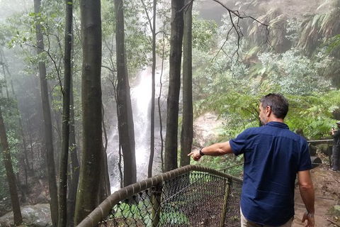 Blue Mountains Highlights, Wildlife Park And Scenic World Full Day Private Tour - Sunshine Coast Tourism 6