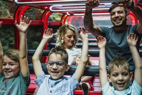 Blue Mountains Highlights, Wildlife Park And Scenic World Full Day Private Tour - Sunshine Coast Tourism 5
