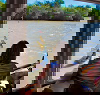 Jumping Crocs  Nature Adventure Cruise from Darwin - Sunshine Coast Tourism