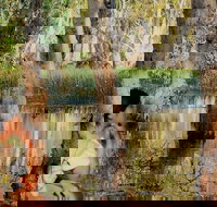 ETHICAL ADVENTURES - Dry Season Litchfield Region Max 10 guests - Sunshine Coast Tourism