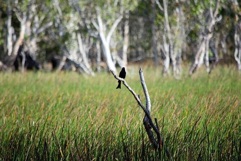 ETHICAL ADVENTURES - Dry Season Litchfield Region, Max 10 Guests - Holiday Sunshine Coast 2