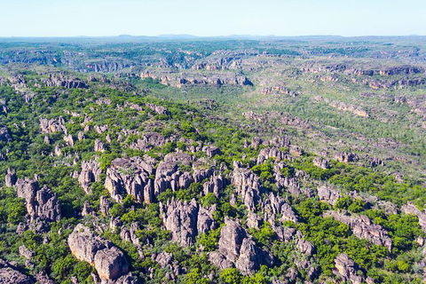 Jabiru 30 Minute Scenic Flight - Holiday Sunshine Coast 1