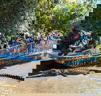 Top End Safari Camp Day Tour - Sunshine Coast Tourism