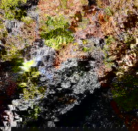 Ethical Adventures - Pure Litchfield - Sunshine Coast Tourism