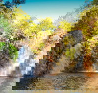 Litchfield National Park Waterfalls Day Trip From Darwin Including Termite Mounds and Lunch - Sunshine Coast Tourism