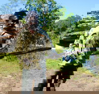 Kakadu  Arnhem Land tour Camping tour - Sunshine Coast Tourism