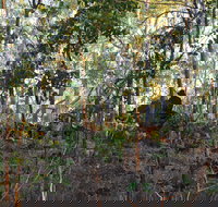 World War II Beyond Darwin - Sunshine Coast Tourism