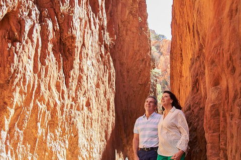 Best Of Alice Springs Full Day Tour - Sunshine Coast Tourism 4