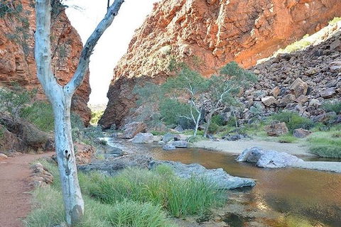 Alice Springs, Uluru Ayers Rock & Kings Canyon 8 Days Touring Package - Sunshine Coast Tourism 2