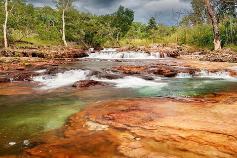Full-Day Private Guided Tour To Litchfield National Park - Sunshine Coast Tourism 14