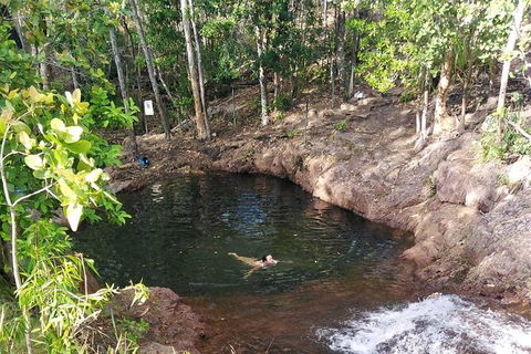 Full-Day Private Guided Tour To Litchfield National Park - Sunshine Coast Tourism 18
