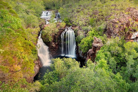 Full-Day Private Guided Tour To Litchfield National Park - Sunshine Coast Tourism 0