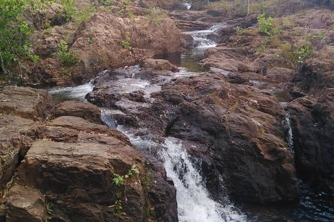 Full-Day Private Guided Tour To Litchfield National Park - Sunshine Coast Tourism 15