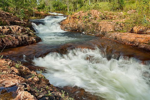 Full-Day Private Guided Tour To Litchfield National Park - Sunshine Coast Tourism 3