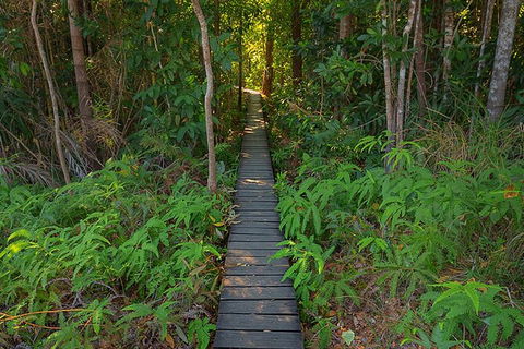 Full-Day Private Guided Tour To Litchfield National Park - Sunshine Coast Tourism 7