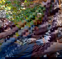 Arnhem Land Injalak Hill Full-Day Tour from Darwin - Sunshine Coast Tourism