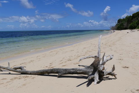 Green Island & Great Barrier Reef Sailing Cruise From Cairns - Only 25 Guests - Sunshine Coast Tourism 2