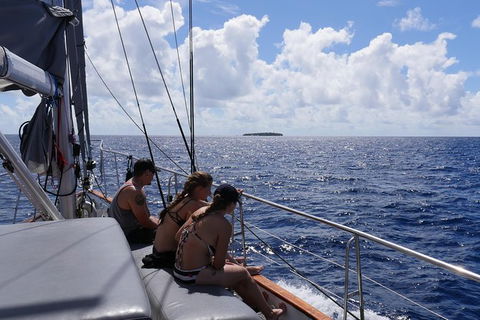 Green Island & Great Barrier Reef Sailing Cruise From Cairns - Only 25 Guests - Sunshine Coast Tourism 7
