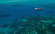 Green Island & Great Barrier Reef Sailing Cruise From Cairns - Only 25 Guests - thumb 0