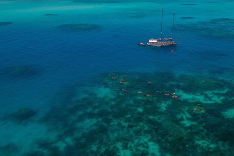 Green Island & Great Barrier Reef Sailing Cruise From Cairns - Only 25 Guests - Sunshine Coast Tourism 0