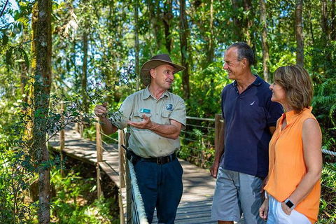 Kuranda Scenic Railway Day Trip From Cairns - Sunshine Coast Tourism 2