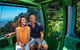 Skyrail Rainforest Cableway Day Trip From Cairns - thumb 0