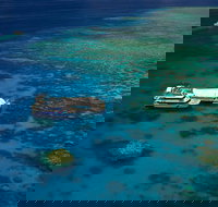 Great Barrier Reef Adventure from Cairns - Sunshine Coast Tourism