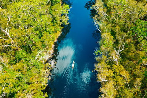 Cruise \'n\' Canoe To Australia\'s Everglades - Sunshine Coast Tourism 1