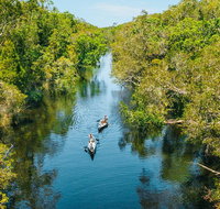 Cruise 'n' Canoe to Australia's Everglades - Sunshine Coast Tourism
