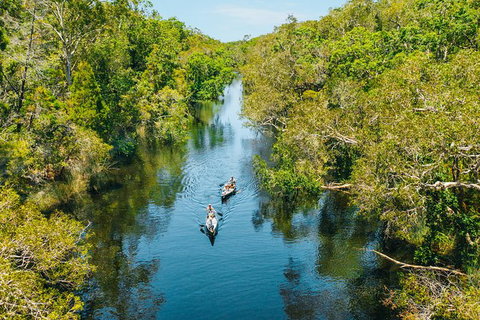Cruise \'n\' Canoe To Australia\'s Everglades - Sunshine Coast Tourism 0