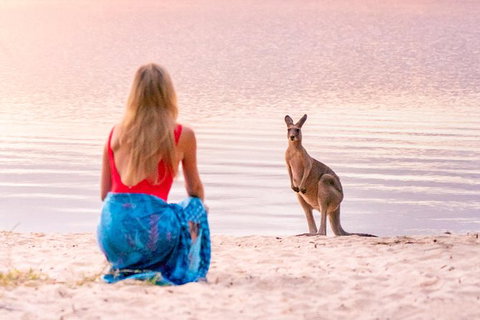 Cruise \'n\' Canoe To Australia\'s Everglades - Sunshine Coast Tourism 2